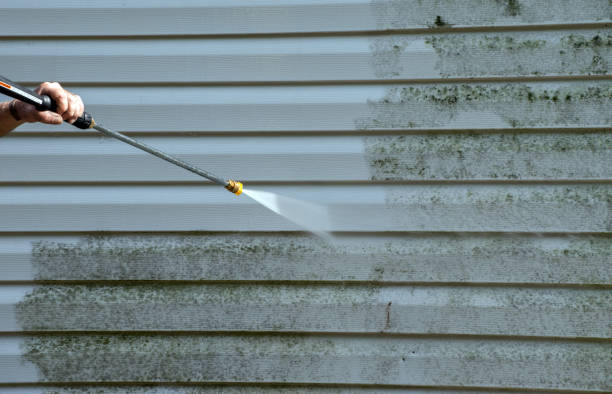 Best Driveway Pressure Washing  in Seagraves, TX