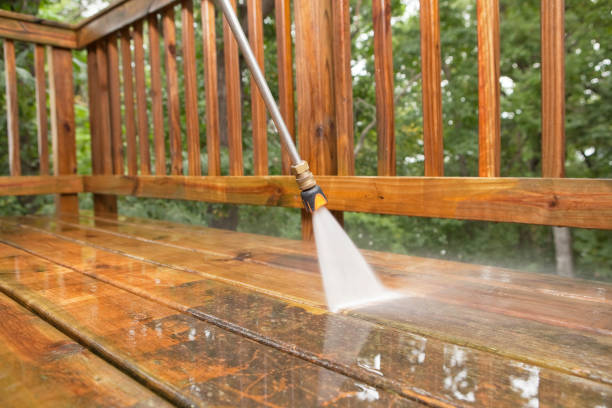 Best Animal Enclosure Cleaning  in Seagraves, TX